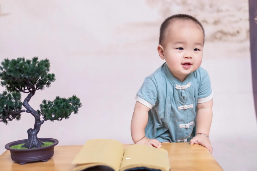宁阳可爱的企鹅宝宝